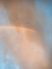 Obraz premium Faint Rainbow Beneath Dramatic Storm Clouds After Rain at Sunrise