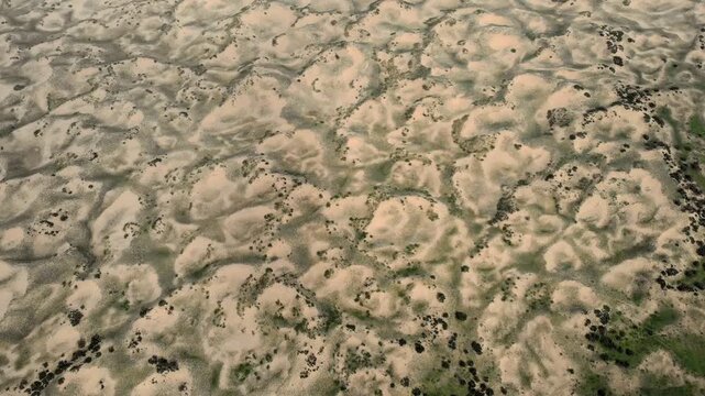 Gobi desert aerial drone view across dunes and sparse vegetation in arid Mongolia.