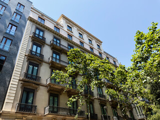 Elegant residential building with classic balconies and tree lined facade in Barcelona, Spain on a clear summer day © AS Photo Family