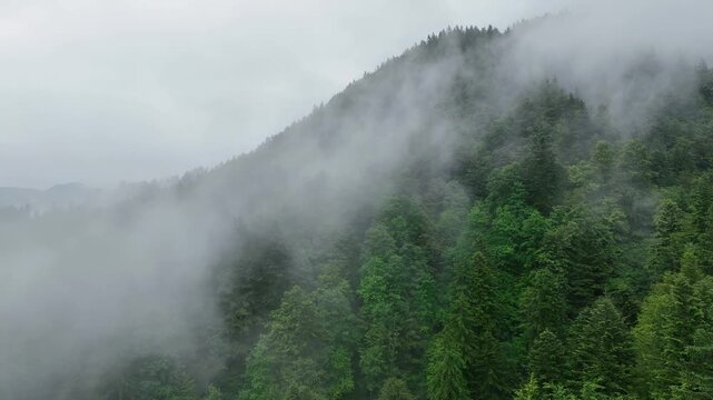 Drone footage over Slovenia Alps mountain forest . with fog and low clouds in moody summer day creating cinematic natural atmosphere and magical alpine scenery of wilderness