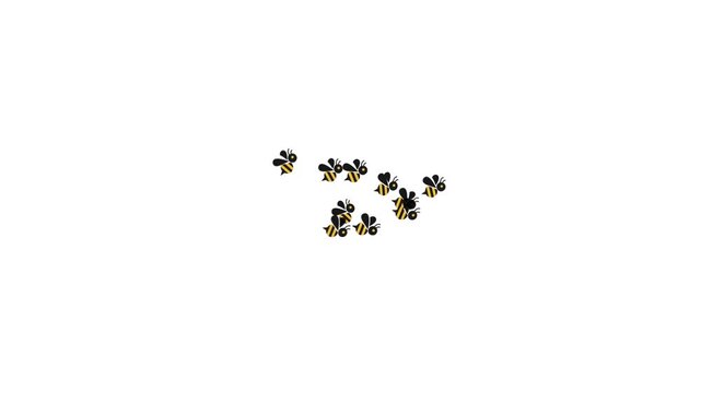 Stylized bees enter from different directions, gather into a loose central swarm, circulate with varied scale and timing, then disperse, ideal for nature, pollination, and agriculture visuals.