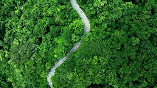 Road in the middle of the forest , road curve construction up to mountain, Rainforest ecosystem and healthy environment concept