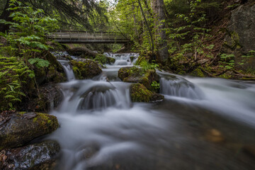 Fototapeta premium Long export of a mountain creek with rocks in a rainforest