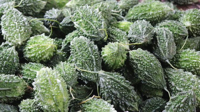 Fresh Green Bitter Gourds Close Up Natural Vegetable Background