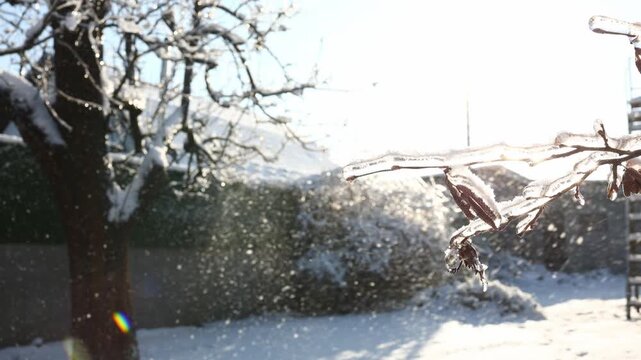 Snow falls in a backyard with a wooden fence and trees. The sun shines brightly, making the snow glisten. Winter weather can be seen throughout the area.