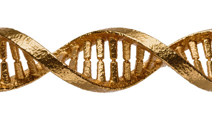 Golden DNA helix structure representing genetics and life, isolated on transparent background