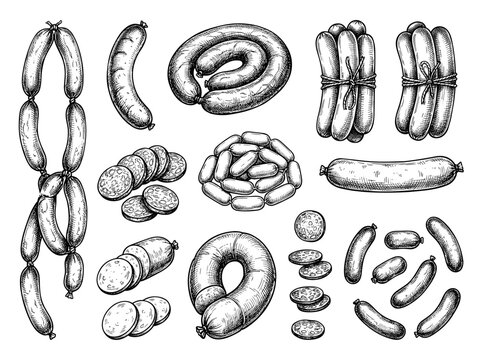 Hand drawn black ink sketch of meat sausage chain, bratwurst, sliced salami and kielbasa isolated on white background