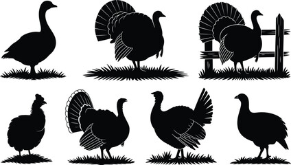 Obraz premium Collection of black turkey silhouettes showing various poses and postures, including birds standing on grass and one turkey standing next to a rustic wooden fence panel