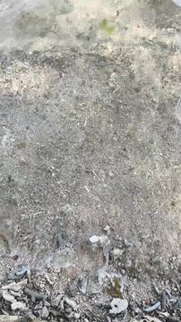 Layer of sand and small coral fragments on coastal beach