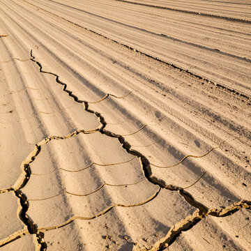 Cracked earth with parallel ridges and deep fissures