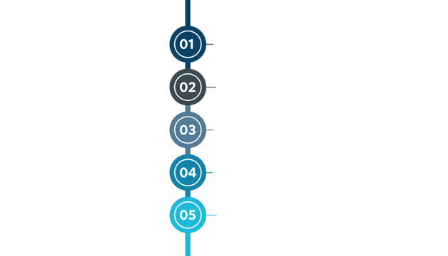 Minimalist vertical timeline process showing five sequential step circles connected by a solid blue line.