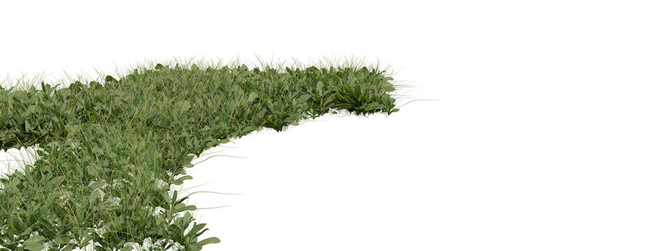 Isolated lush green grass border with tiny yellow wildflowers, fresh natural plant element for spring and summer designs on transparent background