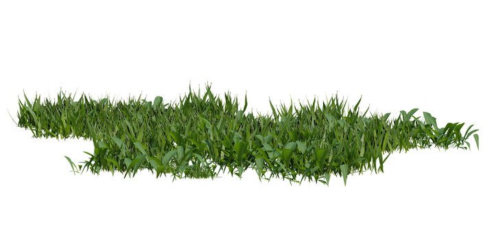 Isolated patch of green grass with visible blades and leaves on a transparent background, natural growth element for landscaping design