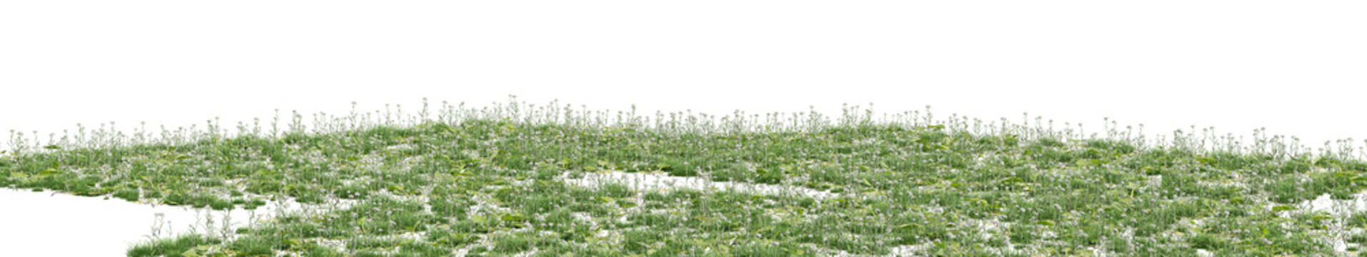 Isolated patch of lush green grass with small white flowers on a transparent background, perfect for spring or summer nature scenes