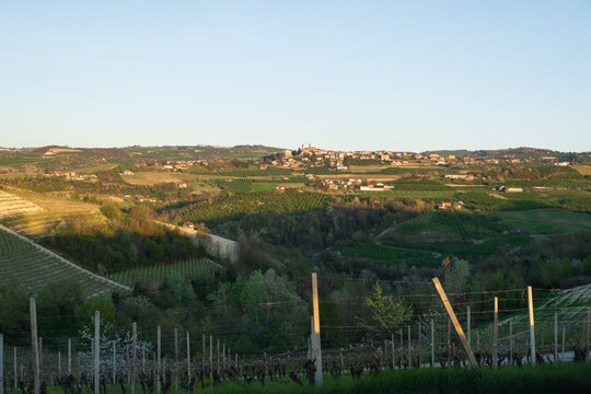 Diano d'Alba Vineyards and Hilltop Village in Golden Light