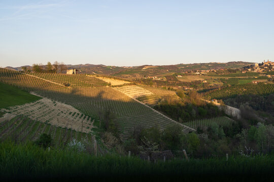 Diano d'Alba vineyards across Langhe hills at sunset