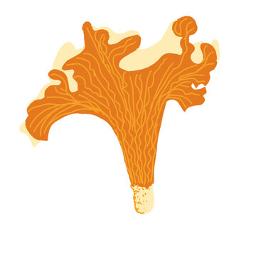 Stylized chanterelle mushroom PNG clipart on transparent background, retro 70s forest edible fungus cut out illustration