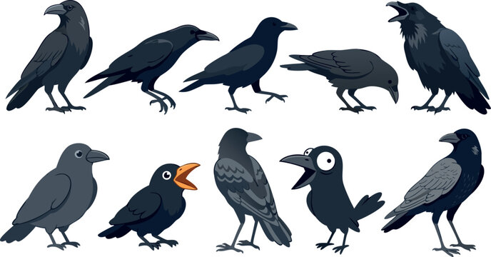 Black Crow and Raven Cartoon Vector Character Set Featuring Various Poses, Flying, Walking, Squawking, and Funny Expressions for Halloween and Nature Designs
