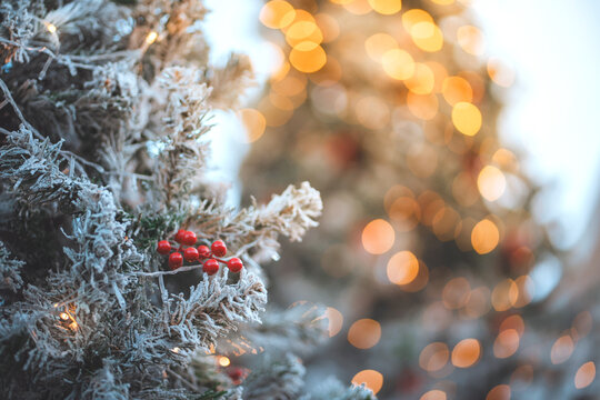 Festive Christmas tree branches with red berries and warm glowing lights, soft golden bokeh background with copy space for holiday greeting, seasonal advertising.