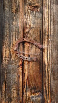Old rusty horseshoe with cobweb on weathered wooden wall, vertical video 