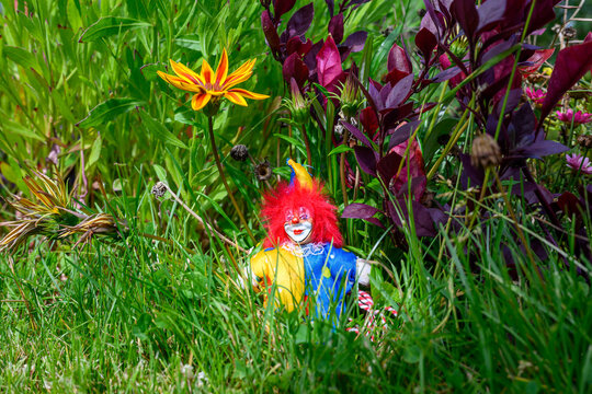 Whimsical Clown in a presented in a natural scene in an outdoor setting, in a natural environment, under daylight, with a natural mood, suitable for wildlife, conservation.