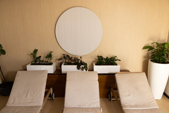 Three beige padded lounge chairs are lining wall in spa lounge with planters and ribbed panel