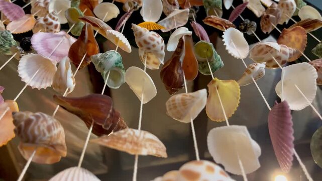 Various colorful seashell mobile hanging