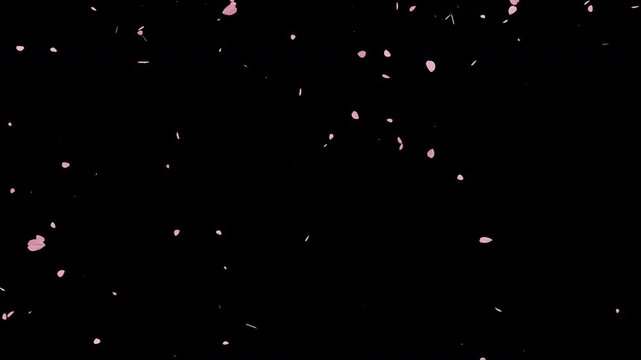 桜散るループ素材（舞い散る小さい桜の花びら） アルファチャンネル・透過素材つき