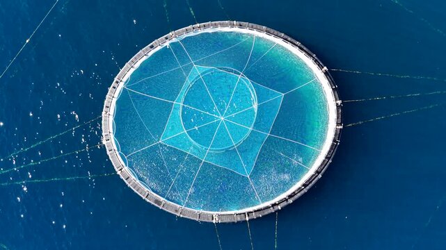 Aerial view of circular fish farm in the Mediterranean, France.
