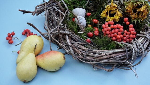 Ein Herbstkranz mit Sonnenblumen, Hagebutten, Schneckengeh&auml;usen und  Vogelbeeren. Daneben reife Birnen.
