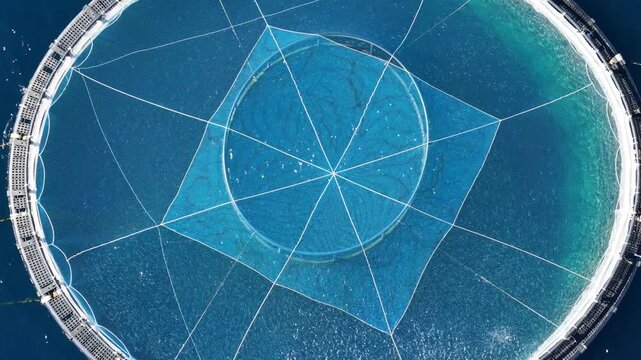 Aerial view of circular fish farm in the sea, France.