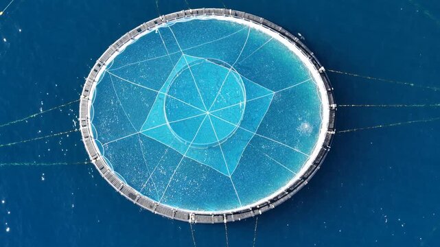 Aerial view of circular fish farm cage in the sea, France.