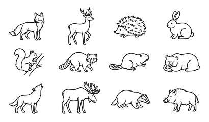 Fototapeta premium Set of cute hand drawn forest animals including fox deer hedgehog rabbit squirrel raccoon beaver bear wolf moose badger boar