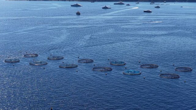 Aerial view of fish farms in the Mediterranean Sea, France.