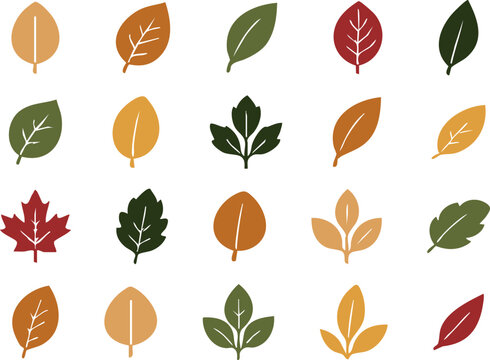 Autumn Leaf Collection Icons. Autumn leaves