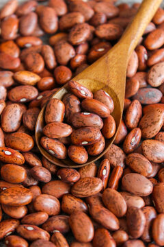 Pinto beans in wooden spoon on pinto beans background