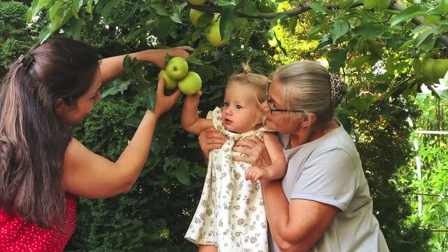 Three generations of women pick fresh apples together in a summer garden, family bonding, homegrown harvest, childhood learning and healthy food.