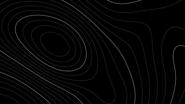 Topographic contour lines seamless loop on black background, white elevation map lines slowly morphing and shifting, 4K abstract motion background for technology and presentation videos