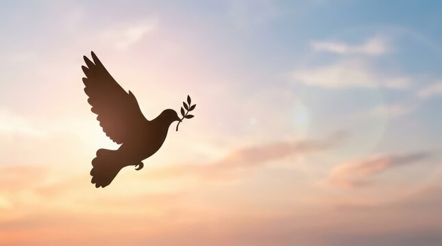 Silhouette Dove Flying With Olive Branch At Sunset Sky