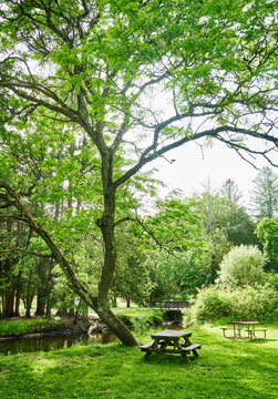 picnic and trail area within Saratoga Spa State Park, Saratoga Springs, New York