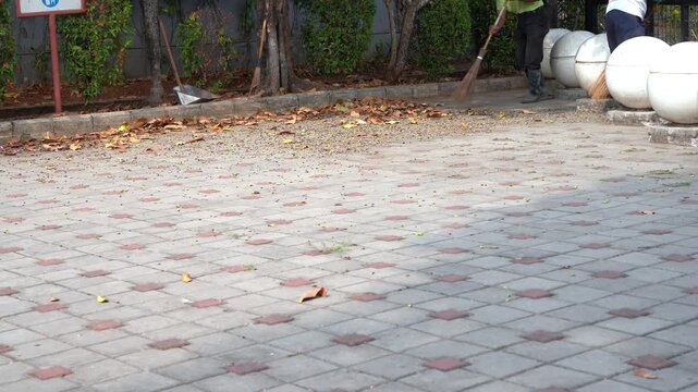 Sanitation Worker Sweeping Dry Fallen Leaves
Street cleaner sweeping dry fallen leaves on a paved outdoor sidewalk using a broom for urban sanitation and autumn park maintenance B-roll.