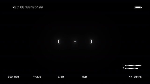 Camera Recording Viewfinder Interface Overlay with Timecode