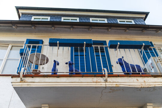 Weathered German Apartment Facade with Blue Shutters and Cat