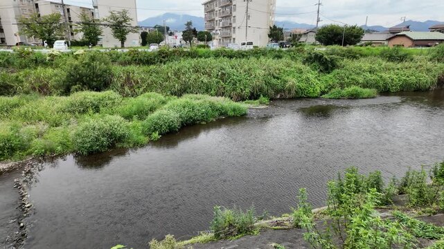 小鮎川と吾妻団地