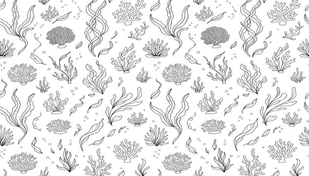 Detailed Marine Life Seamless Pattern with Seaweed and Coral Reef Elements for Ocean Themed Line Art Background Designs