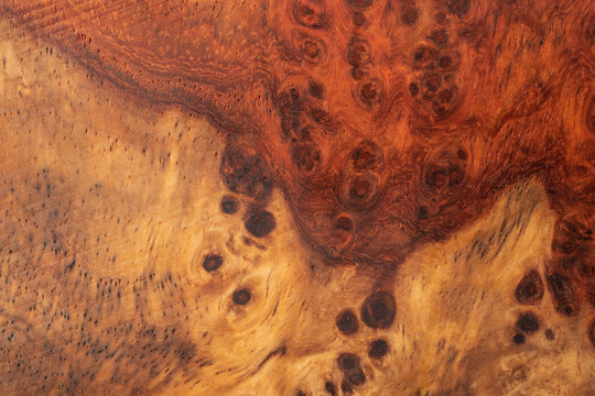Close-up texture of exotic Amboyna burl wood grain with rich reddish-brown background