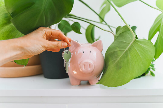 A female hand dangles a house key next to a pink piggy bank and a green potted plant on a shelf. Financial savings for mortgage investment and property ownership lifestyle concept.