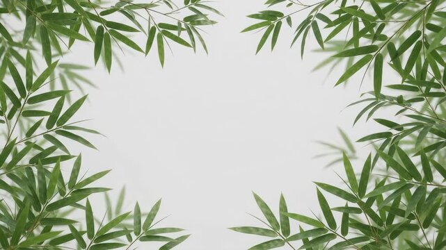 Lush green bamboo leaves frame a bright white background, creating a natural border for text or design.