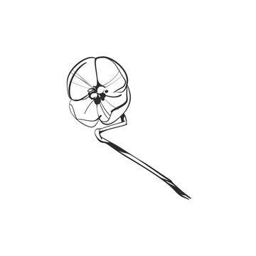 Hand Drawn Flower with Long Curved Stem, Elegant Floral Botanical Line Art Vector Ornament and Decorative Design Element