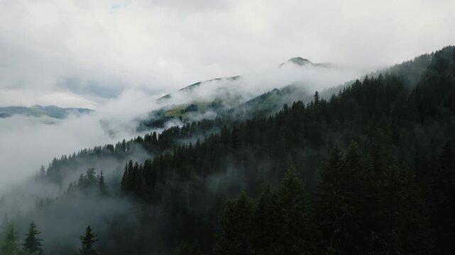 Aerial drone view of low clouds and fog drifting through alpine pine forest mountains